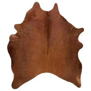Leather Raw Materials
